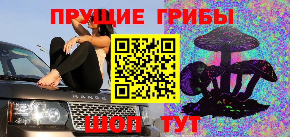 наркотики  Вход с VPN  Калининград  Псилоцибиновые грибы Cubensis 