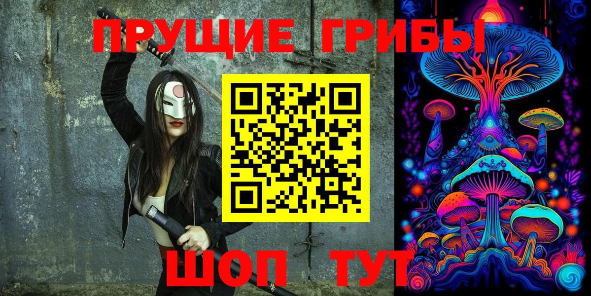Псилоцибиновые грибы Psilocybine cubensis Калининград